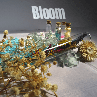 Bloom Front Cover