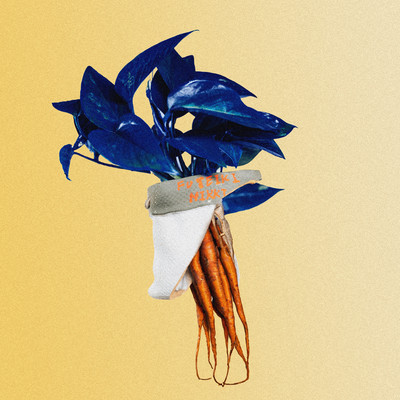 Irregular Diary Front Cover