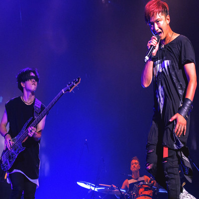 Theory Of Evolution Front Cover