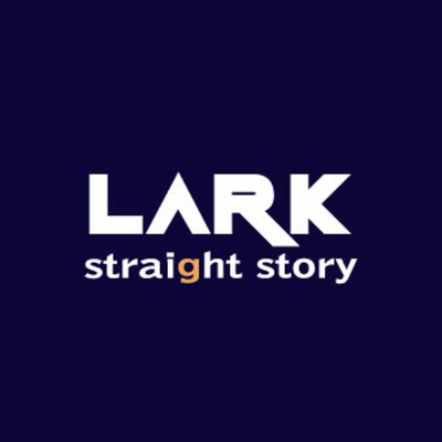 straight story Front Cover