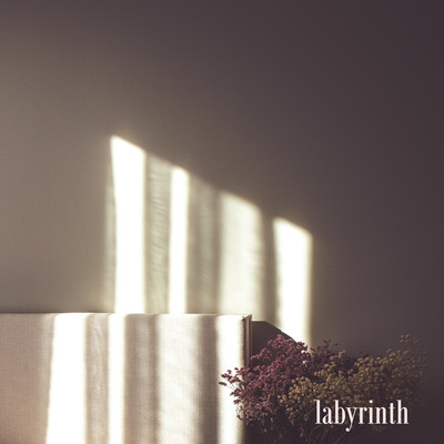 Labyrinth Front Cover