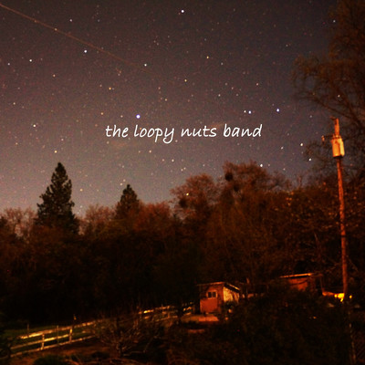the loopy nuts bandのジャケット写真