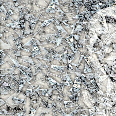 RAW Front Cover