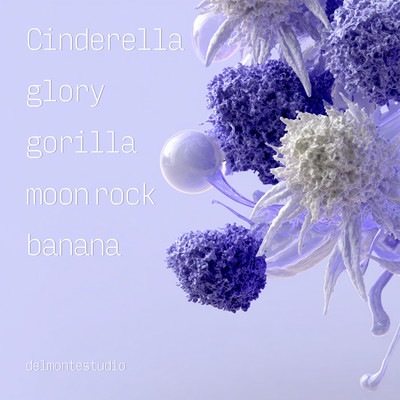 Cinderella glory gorilla moon rock banana Front Cover