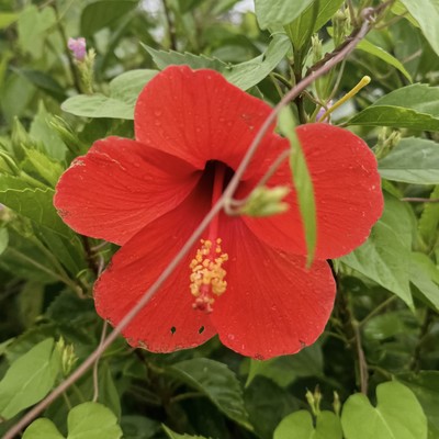 Love Slow Danceのジャケット写真