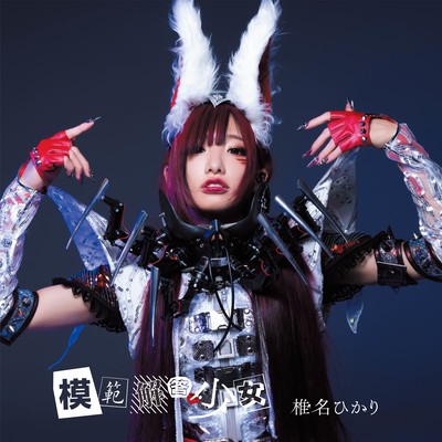 模範解答少女のジャケット写真