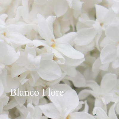 Blanco Flore Front Cover