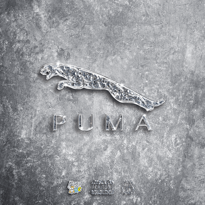 PUMA Front Cover