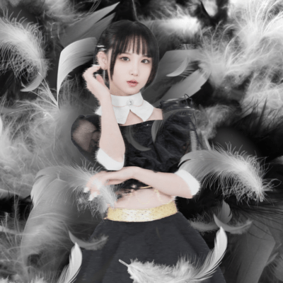 春を踊る鶺鴒のジャケット写真