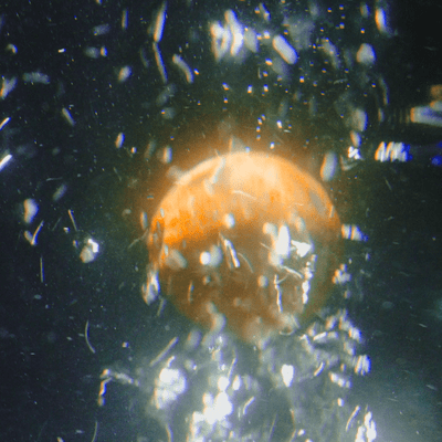 Tsuiokunonatsu Front Cover