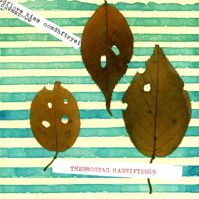 MAGNIFIED69 Front Cover