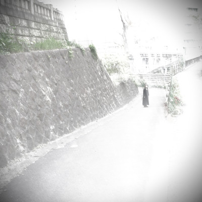 落花流水のジャケット写真