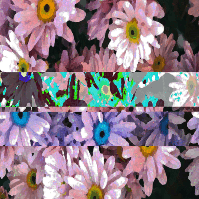 tranquility Front Cover