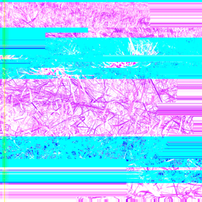 Tracing the memories of an uninhabited city Front Cover