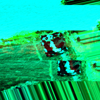 Epidermal residue Front Cover