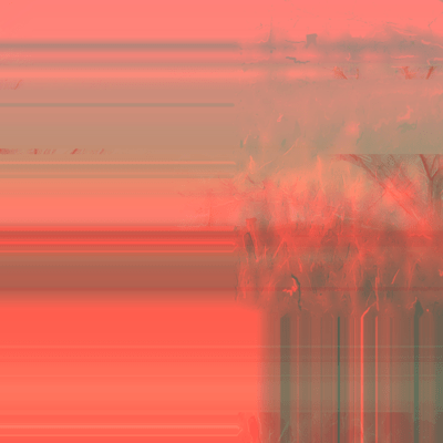 Inner Reaction Front Cover