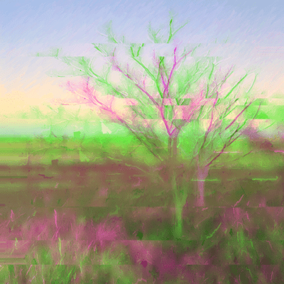 irreversible system Front Cover