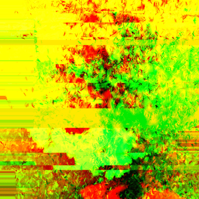 Soft fault Front Cover