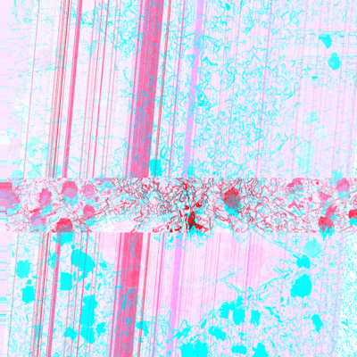 twilight Front Cover