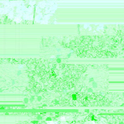 A faint back and forth Front Cover