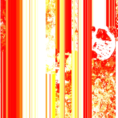 Irreproducible Identity Front Cover