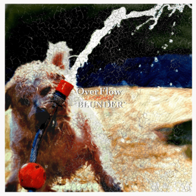 Over Flow / BLUNDER Front Cover