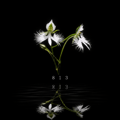 813 Front Cover