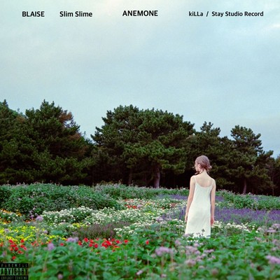ANEMONEのジャケット写真