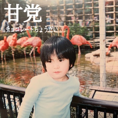 amatou Front Cover