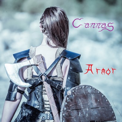 Armorのジャケット写真