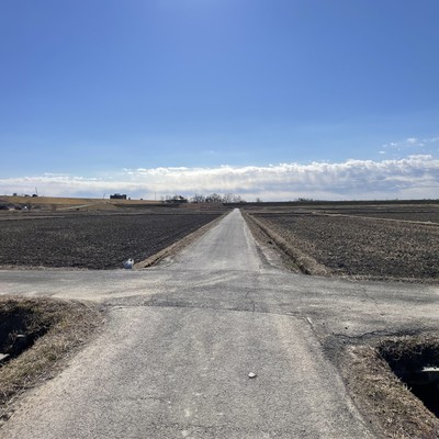 Tomorrow will surely be Front Cover