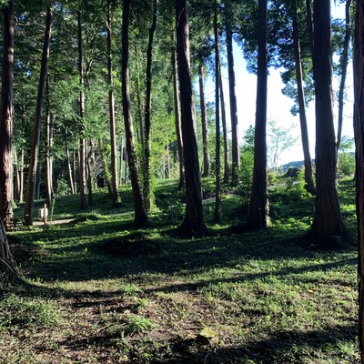 yorunosupika Front Cover