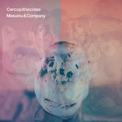 Cercopithecidae Front Cover