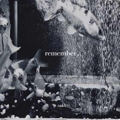 remember Front Cover