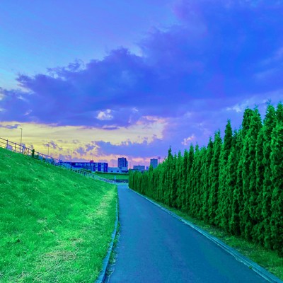 短すぎる夏のジャケット写真