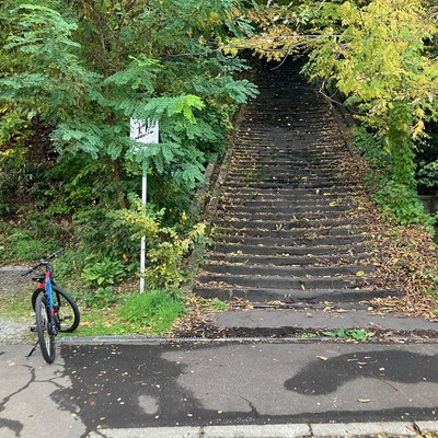 simple dream Front Cover