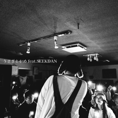 うさぎとかめfeat.SEEKDAN (2025ver.)のジャケット写真