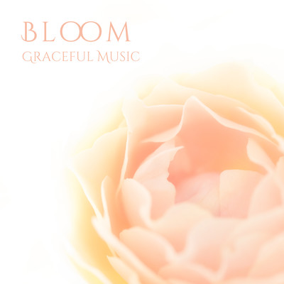 Bloom Front Cover