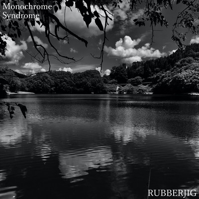 Monochrome syndrome Front Cover