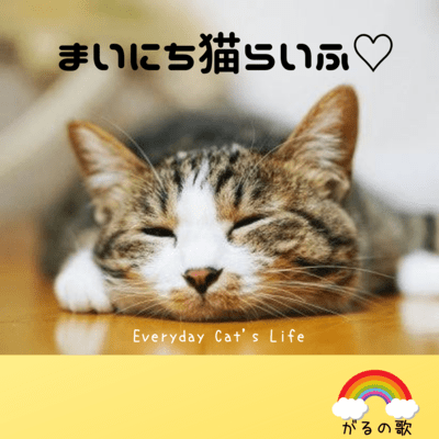 everydaycatslife Front Cover