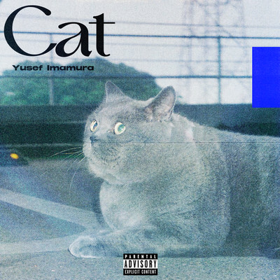 Cat Front Cover