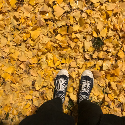 kutsuoto Front Cover