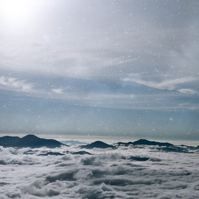 SILENT SPRINGのジャケット写真