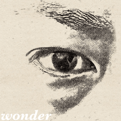 wonder Front Cover