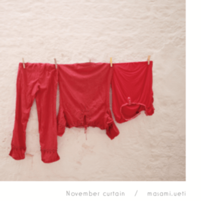 November curtain Front Cover