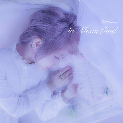 in Moonland Front Cover