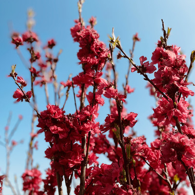 Whereのジャケット写真