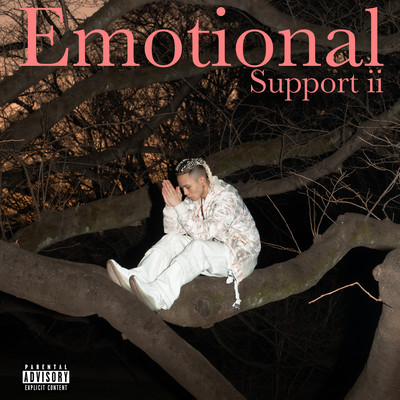 Emotional Support ⅱのジャケット写真
