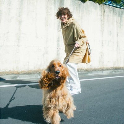 BGMのジャケット写真