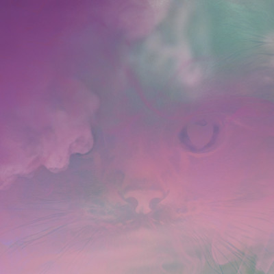 SHIROI YAMINO NAKA (Cover) Front Cover